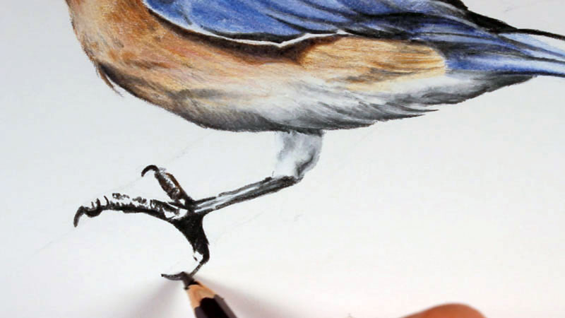 نقاشی پای پرنده