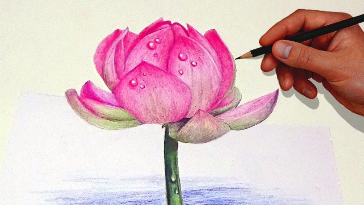 نقاشی گل مداد رنگی