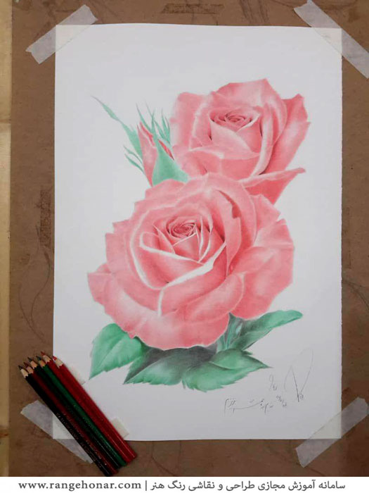 نقاشی از گل ها با مداد رنگی